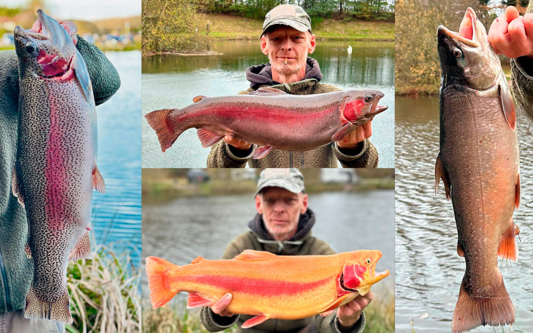 Olaf Hoffmann med et udvalgt af fisk fra sin dankse put and take tour