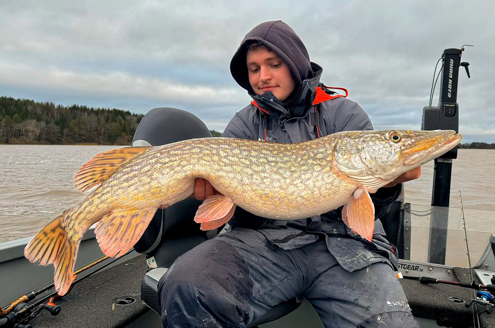 Rasmus med en flot 10-kilos gedde fra Sverige. Øverst Rasmus Christensen er lige nu i Sverige sammen med sin far i 17 dage på jagt efter nye vande med store sandarter.- Indtil videre har vi kørt de første 2200km, og vi har kigget efter ramper i 22 søer, hvor det er lykkedes at komme i 14 af dem. Undervejs har vi også fundet nogle store fisk. Vi har dog kørt en kurs med at køre hurtigt videre, selv når vi har fået fisk, med det formål at få udforsket så meget nyt vand som muligt. - En anden fordel ved dette er ikke at lægge for meget pres på de enkelte vande ved at fiske flere dage i træk. Indtil videre har vi fået tre 10kilo+ sandarter samt to fine gedder lige over de ti kilo.