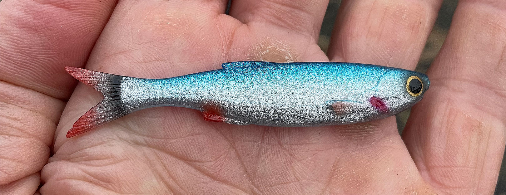 Savage Gear Dying Minnow er perfekt til bl.a. dropshotfiskeri. Øverst Christian Stenild med den ene af de tre aborrer på 49 centimeter.