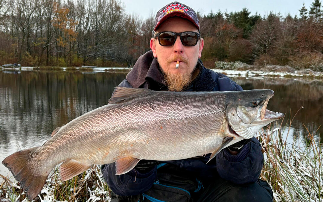 Vi har netop fået en melding fra Ronnie Ørbekker, der klokken ti her i formiddags fangede en potentiel ny Danmarksrekord på søørred på intet mindre end 5,01 kilo.