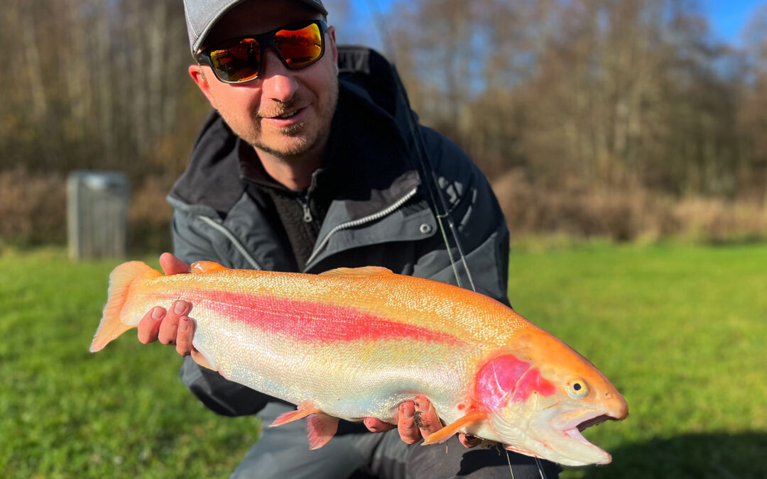 Tommy Bach-Nielsen med sin flotte guldørred fra Medestedet