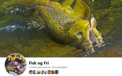 FISK & FRIS FACEBOOK RUNDER 20.000 FØLGERE