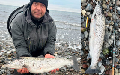HAVØRRED: MED BARONESSEN PÅ KYSTEN