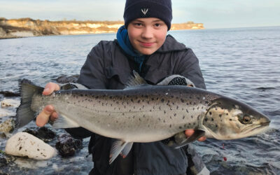 EN FLOT KYSTØRRED PÅ SØMMET