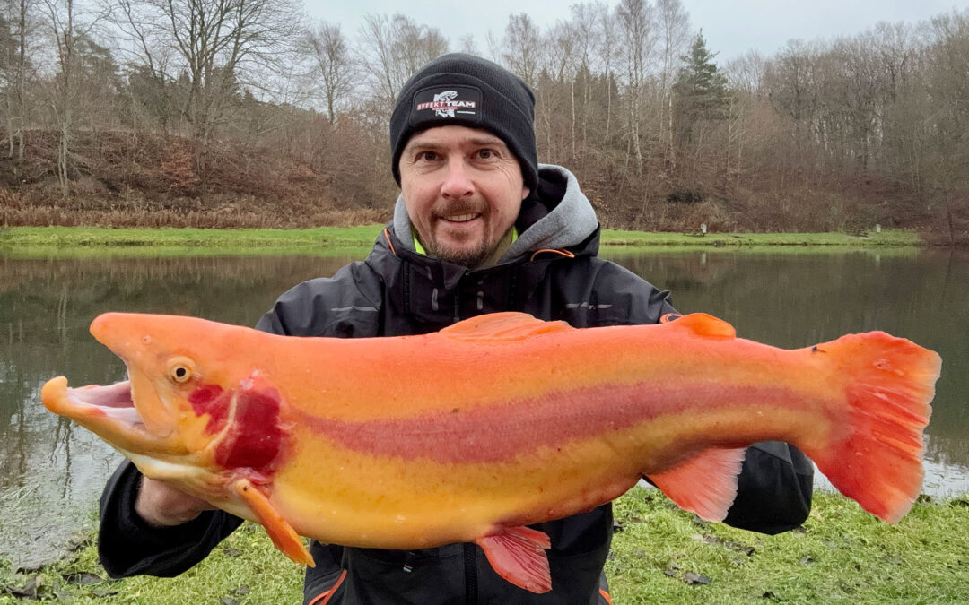 Thomas Røddik med sin flotte guldørred.