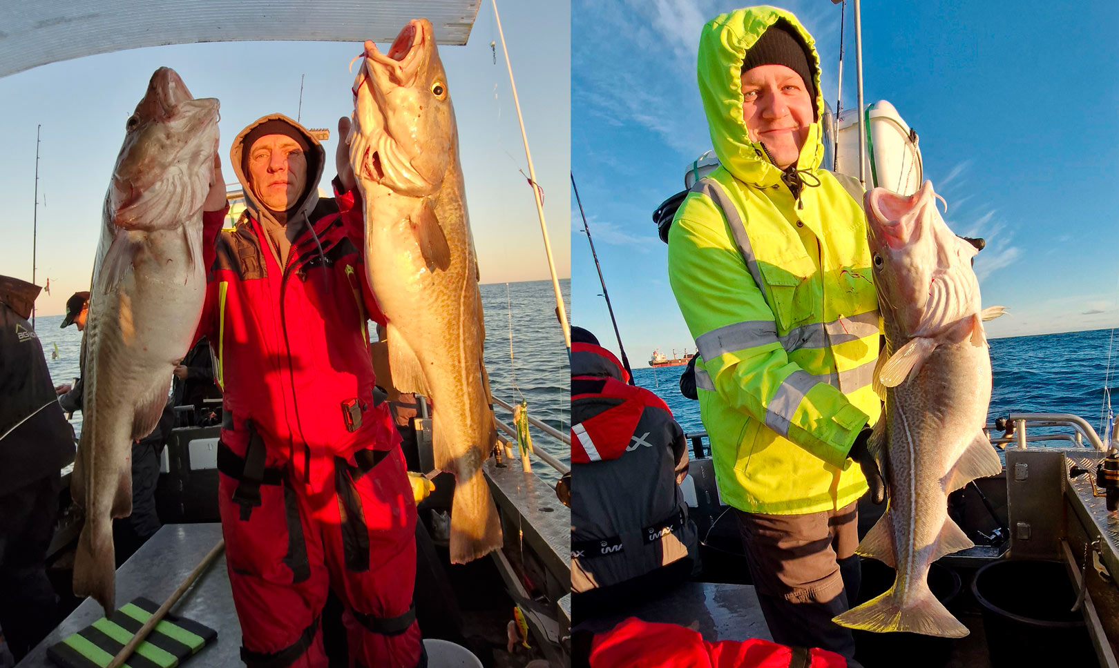 Der blev fanget både flotte torsk og langer ombord på Joanna på Nordsøen i søndags.