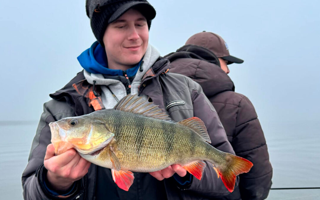 Emil med sin flotte 47 cm aborre fra Holland, der huggede på en SG Craft Crawler.