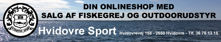 Hvidovre Sport