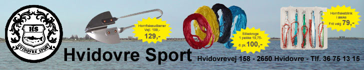 Hvidovre Sport