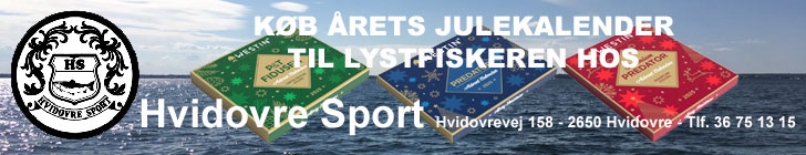 Hvidovre Sport