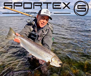 Sportex havørred