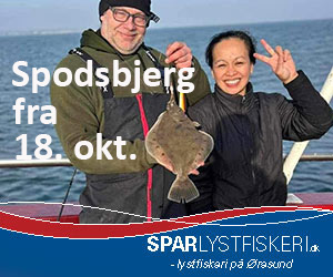 Spar Lystfiskeri, Fyrholm, Spodsbjerg