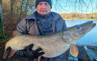 GEDDERFISKERI: MASSIV MADAMME LEVERER HÅRD FIGHT