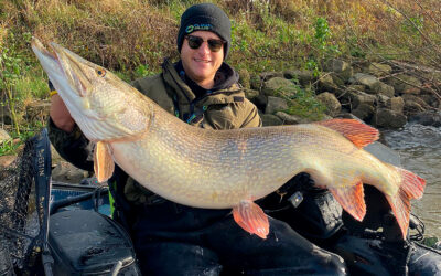 GIGANT GEDDE FRA FLYDERINGEN