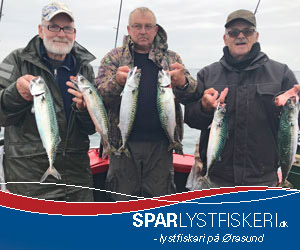 Spar Lystfiskeri - makrelture
