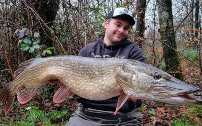 GEDDESATS GAV STORFISK
