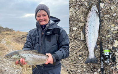 EN FLOT HAVØRRED FRA ROSKILDE FJORD