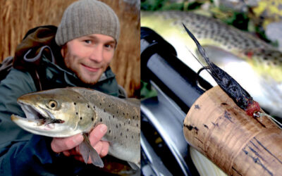 KYSTFLUE: CUTTHROAT KUTLING