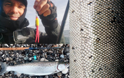 HAVØRRED PÅ KYSTEN: BLANKFISK OVER 70 CM PÅ KONDOMSPINNER