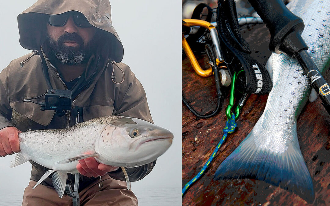Belal Abdul med sin flotte havørred fra Skånekysten