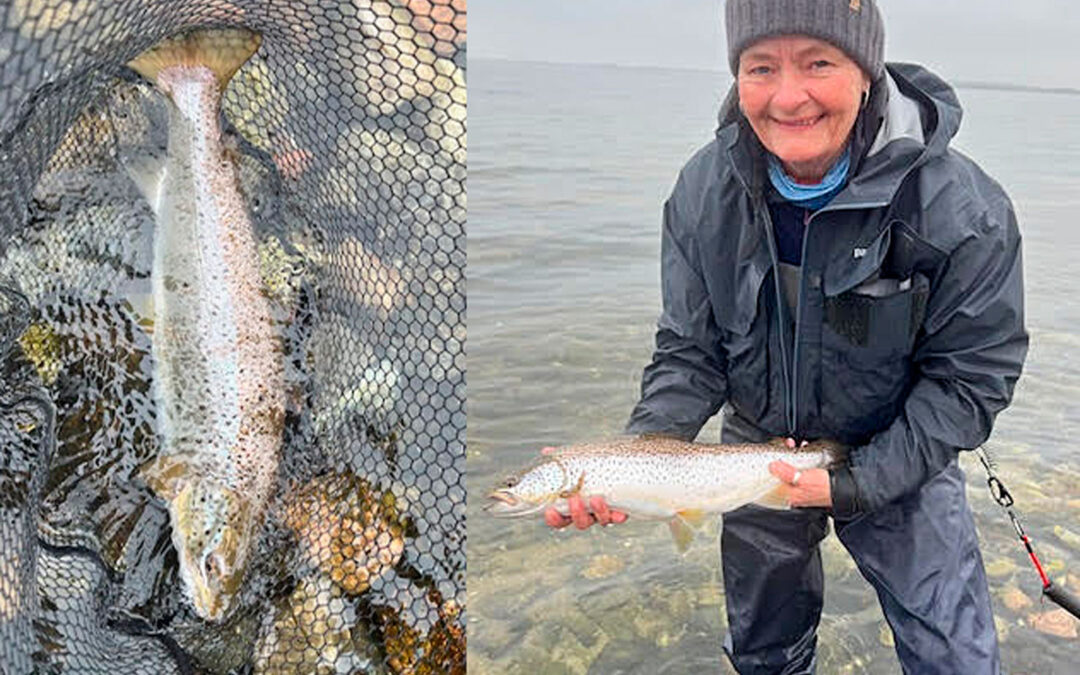 Bettina med sin flotte havørred fra Roskilde Fjord.