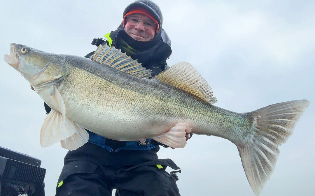Jens Bursell med sandart taget på livecast med Westin Ultrastick