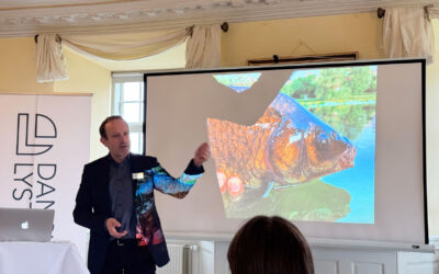 Radikale: Lystfiskerne skal med i fiskeriaftalen