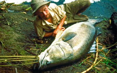 RETRO: GIGANT NILABORRE I WHITEWATER