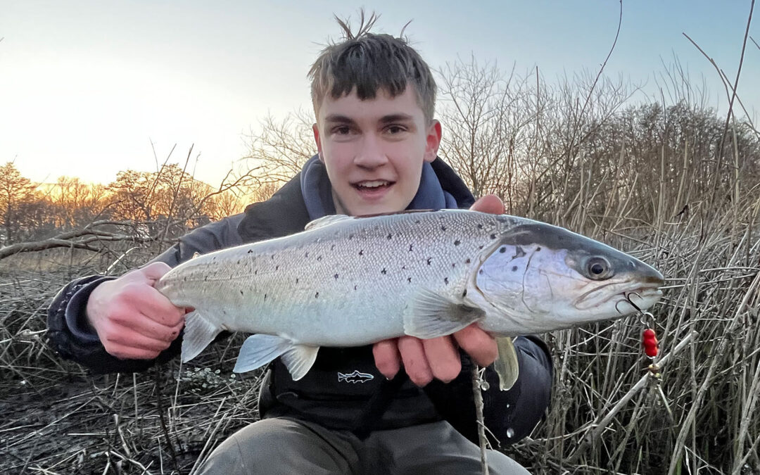 Foto: Rasmus Trettenæs med en flot havørred fra Odense Å Premieren for et par år tilbage.