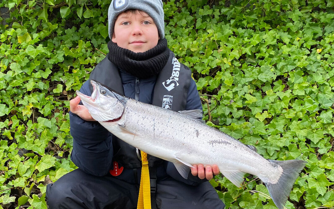 Sebastian Ilsø med sin flotte havørred fra Københavns Havn taget på flåd og reje.