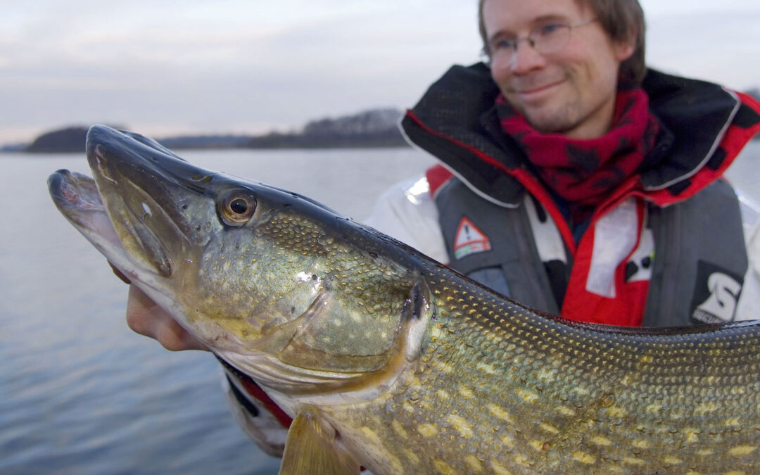 Jens Bursell med en flot gedde