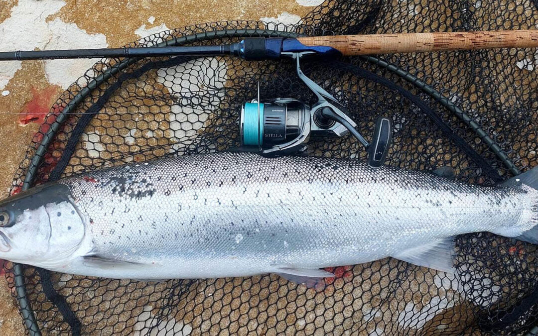 En flot og velfortjent havørred til Thierry Du Brail