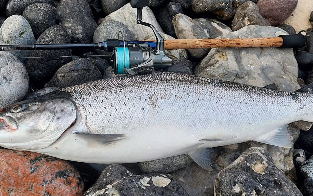 Thierry Du Brails flotte kystørred huggede på blinket 747 fra Fabio Vilasi