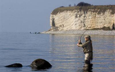 NYE VISIONER FOR FISKEPLEJEN: STØRRE BREDDE & MERE TRANSPARENS