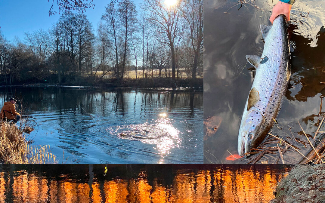 Laksepremiere Mørrum 2025