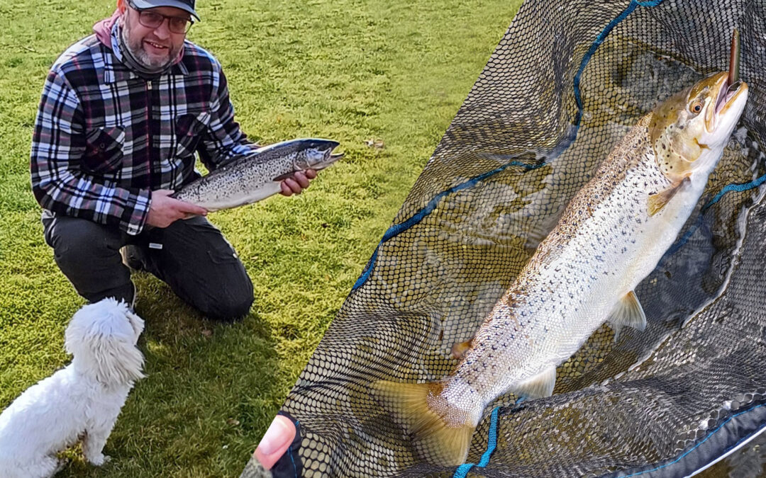 Henrik med sin flotte havørred fra Mariager Fjord