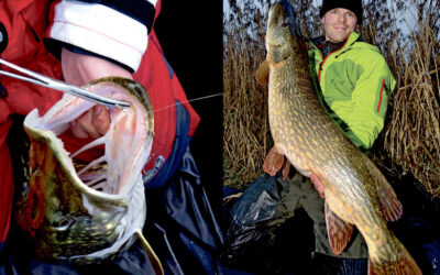 FIND FISKENE – STORGEDDER PÅ STRIBE
