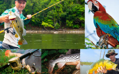 INDSEND FANGSTRAPPORT OG VIND DRØMMEREJSE TIL AMAZONAS MED IFISH TRAVEL