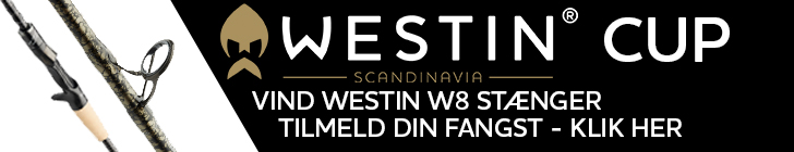 Westin Cup 2025