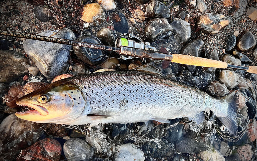 Med denne flotte havørred som resultatet kan Casper Larsen være bedre end godt tilfreds med sin kysttur.