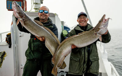 HAVFISKERI MED MASSER AF ACTION: TAG MED IFISH TRAVEL TIL NORGE