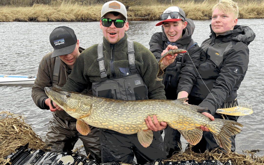 Jimm Tabur med sin flotte gedde på 15,8 kilo fra Gudenåen