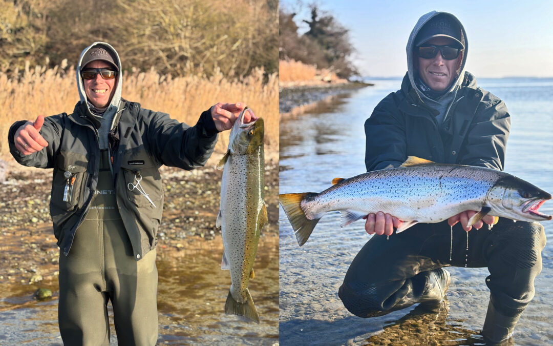 Kim Svensson med sin flotte havørred fra Bakkebølle, der nu fører Aktiv Fritids Kyst Cup 2025.