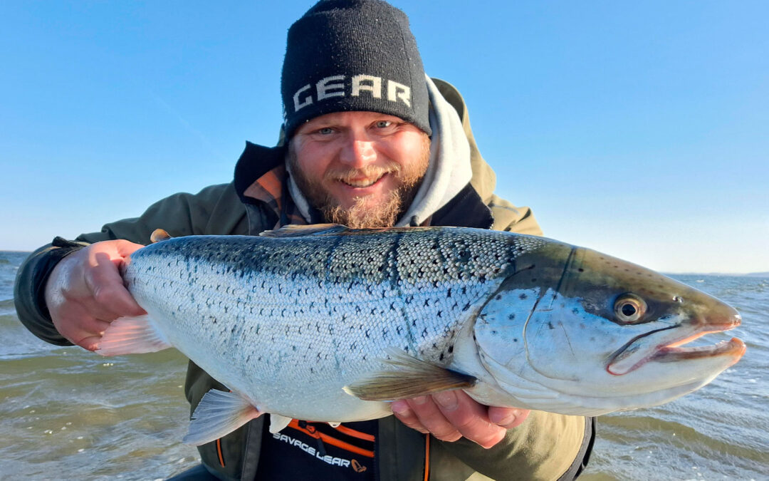 Mads Davidsen med sin flotte havørred, der huggede på en Zerling.