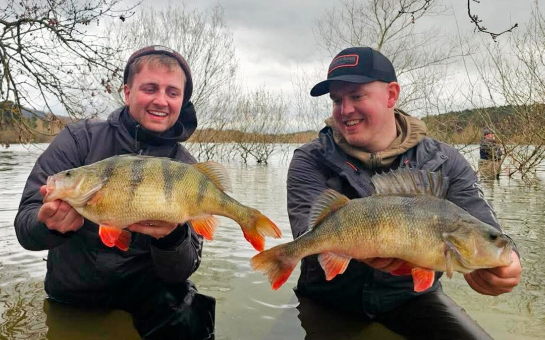 Det danske holod fik flere flotte aborrer som dsisse i Perchzilla