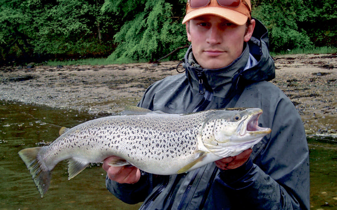 Moesgaard Strand er en klassisk plads i kort afstand fra Århus.