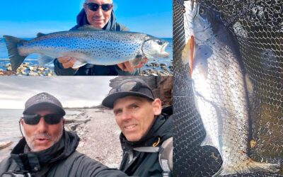 22 DAGE MED HAVØRRED PÅ ØLAND