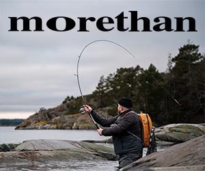 Daiwa Morethan
