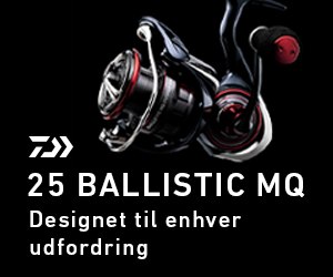 Daiwa Ballistic MQ