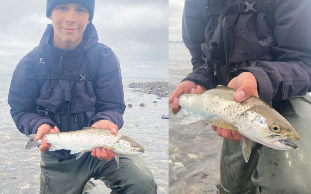 Felix med hans første havørreder fra Limfjorden